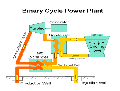 binary_plant.gif (14594 bytes)